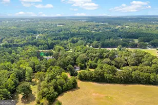 3919 McCullers Rd, Loganville, GA 30052 - Photo 49