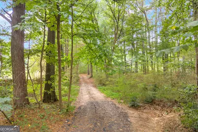 3919 McCullers Road, Loganville, GA 30052 - Photo 43