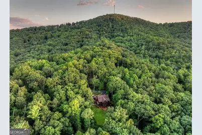 169 Walnut Mountain Road, Ellijay, GA 30540 - Photo 53