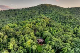 169 Walnut Mountain Rd, Ellijay, GA 30540 - Photo 53
