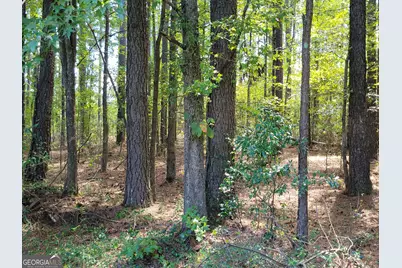2753 Waynesboro Highway, Sylvania, GA 30467 - Photo 13