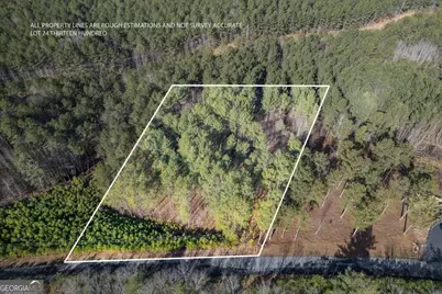 Lot 74 Thirteen Hundred #74, Blairsville, GA 30512 - Photo 1