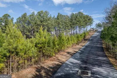 Lot 74 Thirteen Hundred #74, Blairsville, GA 30512 - Photo 9