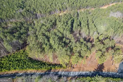 Lot 74 Thirteen Hundred #74, Blairsville, GA 30512 - Photo 3