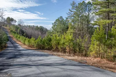 Lot 74 Thirteen Hundred #74, Blairsville, GA 30512 - Photo 19