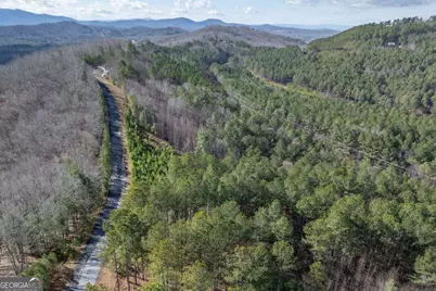 Lot 74 Thirteen Hundred #74, Blairsville, GA 30512 - Photo 7