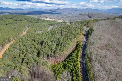 Lot 74 Thirteen Hundred #74, Blairsville, GA 30512 - Photo 5