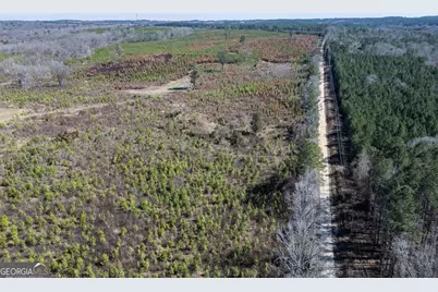 0 Cook Road TRACT #4, Monticello, GA 31064 - Photo 13