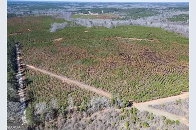0 Cook Road TRACT #4, Monticello, GA 31064 - Photo 7