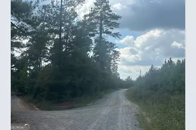 0 Cook Road TRACT #4, Monticello, GA 31064 - Photo 3