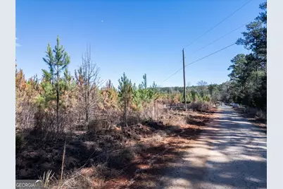 0 Cook Road TRACT #4, Monticello, GA 31064 - Photo 9