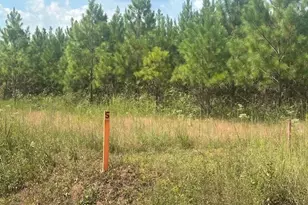 0 Cook Rd, Monticello, GA 31064 - Photo 1