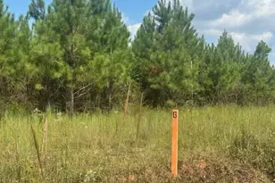 0 Cook Rd, Monticello, GA 31064 - Photo 1