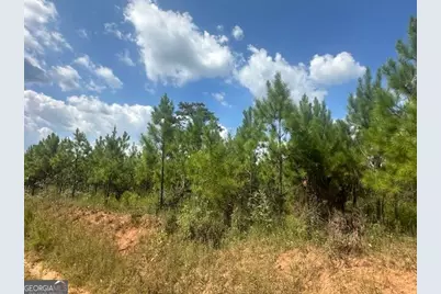 0 Cook Road TRACT #7, Monticello, GA 31064 - Photo 3