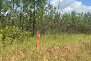 0 Cook Rd, Monticello, GA 31064 - Photo 1