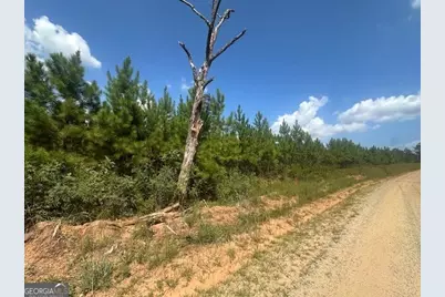 0 Cook Road TRACT #8, Monticello, GA 31064 - Photo 1
