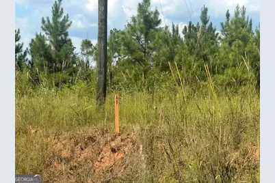 0 Cook Road TRACT #11, Monticello, GA 31064 - Photo 3