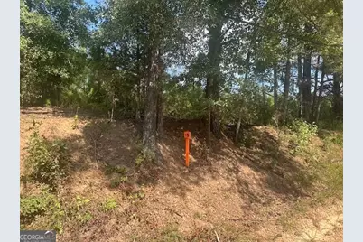 0 Cook Road TRACT #15, Monticello, GA 31064 - Photo 1