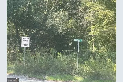 0 Cook Road TRACT #16, Monticello, GA 31064 - Photo 3