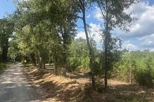 0 Cook Rd, Monticello, GA 31064 - Photo 1