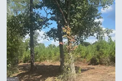 0 Millen Road TRACT #17, Monticello, GA 31064 - Photo 3