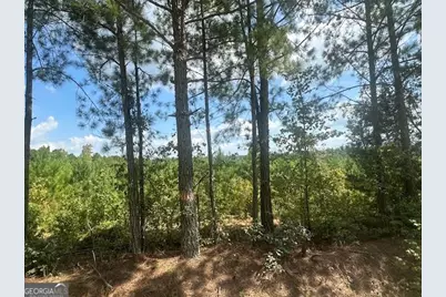 0 Millen Road TRACT #20, Monticello, GA 31064 - Photo 7