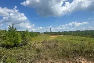 0 Millen Rd, Monticello, GA 31064 - Photo 1