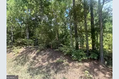 0 Millen Road TRACT #20, Monticello, GA 31064 - Photo 9