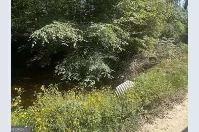 0 Millen Road TRACT #22, Monticello, GA 31064 - Photo 3