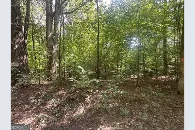0 Millen Road TRACT #22, Monticello, GA 31064 - Photo 1