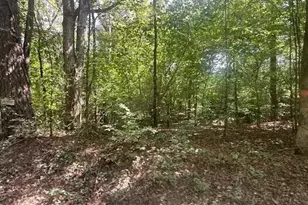 0 Millen Rd, Monticello, GA 31064 - Photo 1