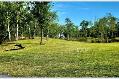 80 Mundy Road, Rydal, GA 30171 - Photo 1