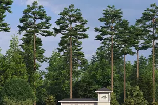 240 Hammersmith Lndg, Brunswick, GA 31525 - Photo 27
