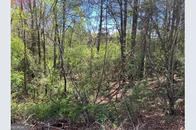 28 Acres Hwy 36E, Thomaston, GA 30286 - Photo 7