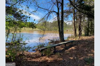28 Acres Hwy 36E, Thomaston, GA 30286 - Photo 3