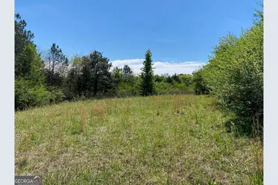 28 Acres Hwy 36E, Thomaston, GA 30286 - Photo 5