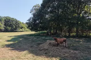 5587 Elberton Hwy, Hartwell, GA 30643 - Photo 115
