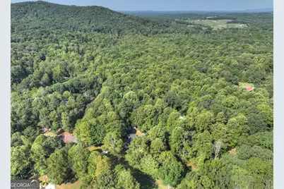46 White Oak Drive, Talking Rock, GA 30175 - Photo 11