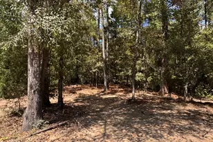 1806 Trawick Rd, Sandersville, GA 31082 - Photo 21