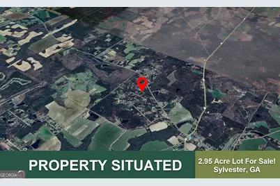 0 San Barnard Arcade, Sylvester, GA 31791 - Photo 3