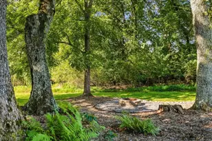 249 Bell Boy Run, Blairsville, GA 30512 - Photo 79