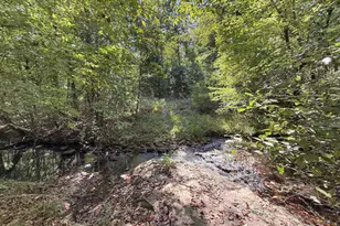 223 City Pond Rd, Barnesville, GA 30204 - Photo 17