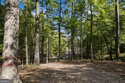 374 Ferrell Tatum Road, Lagrange, GA 30240 - Photo 61