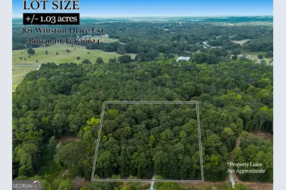 821 Winston Drive Extension, Bowman, GA 30624 - Photo 21