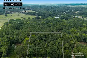 821 Winston Dr Ext, Bowman, GA 30624 - Photo 21