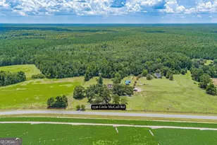 1536 Little McCall Rd, Guyton, GA 31312 - Photo 97