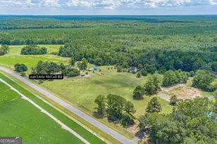 1536 Little McCall Rd, Guyton, GA 31312 - Photo 99