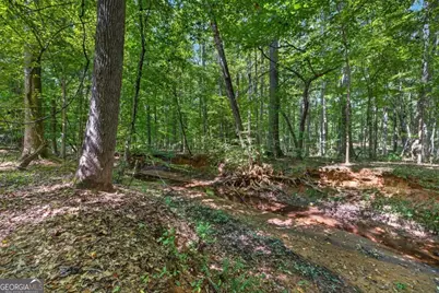 1331 Heidi Trail, Buckhead, GA 30625 - Photo 59
