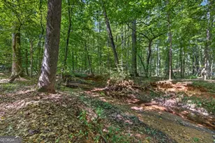 1331 Heidi Trail, Buckhead, GA 30625 - Photo 59