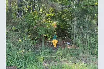 0 Hwy 113, Temple, GA 30179 - Photo 5